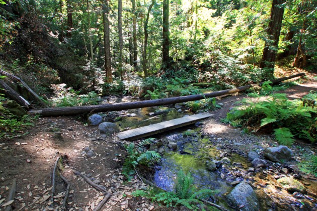 IMG_7522_old_new_bridges