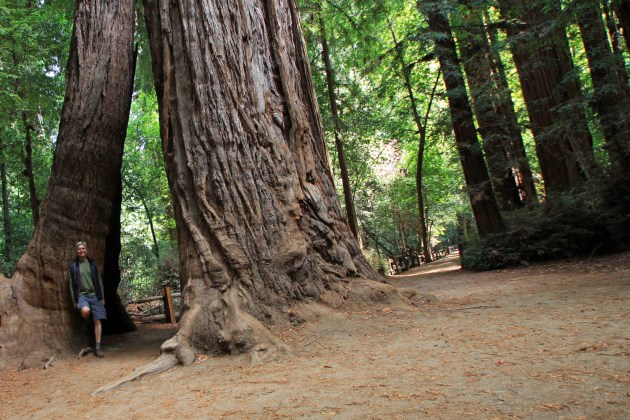 IMG_7563me_tree_standing