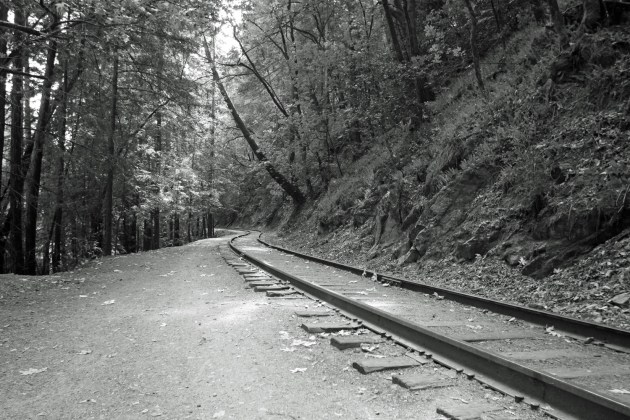 IMG_7592tracks_bw