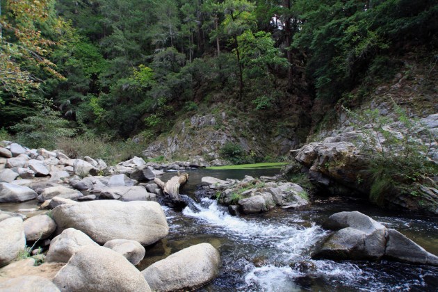 IMG_7616_eden_big_pic