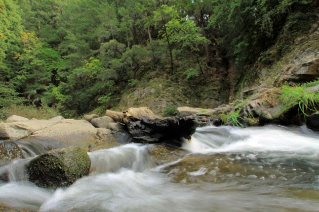 IMG_7632garden_good_slow